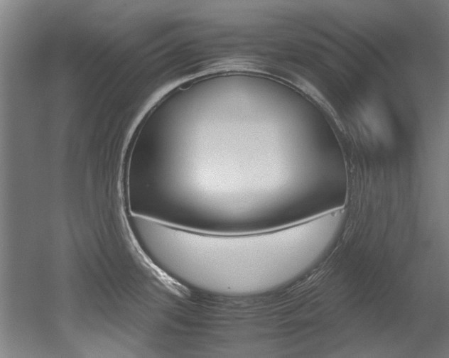 X0000052551339200507010835