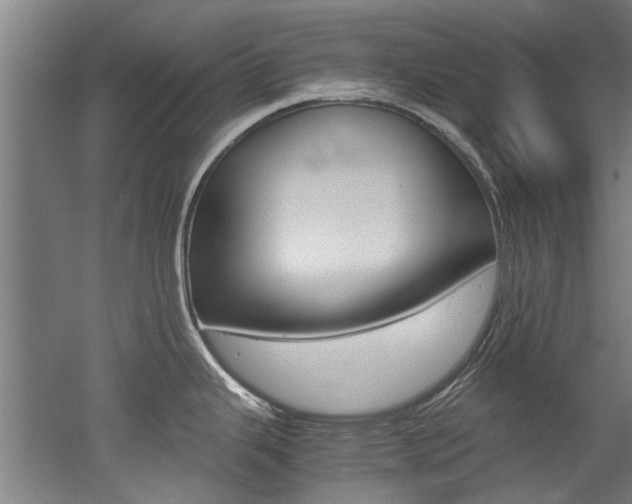 X0000052551343200507010835
