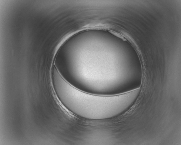 X0000052551344200507010835