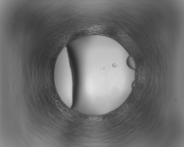 X0000052551346200507010834
