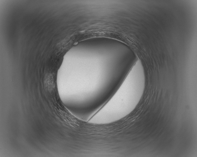 X0000052551347200507010834
