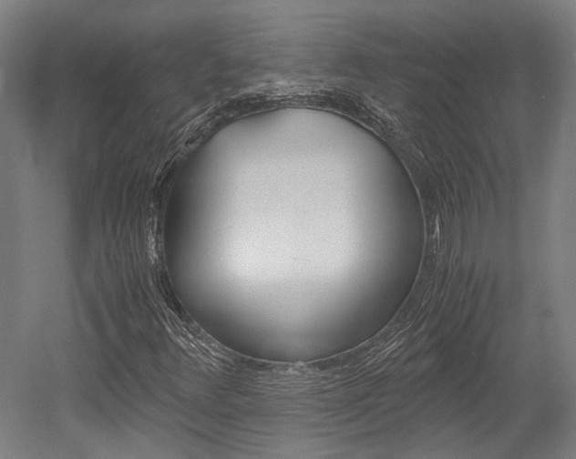X0000052551348200507010834