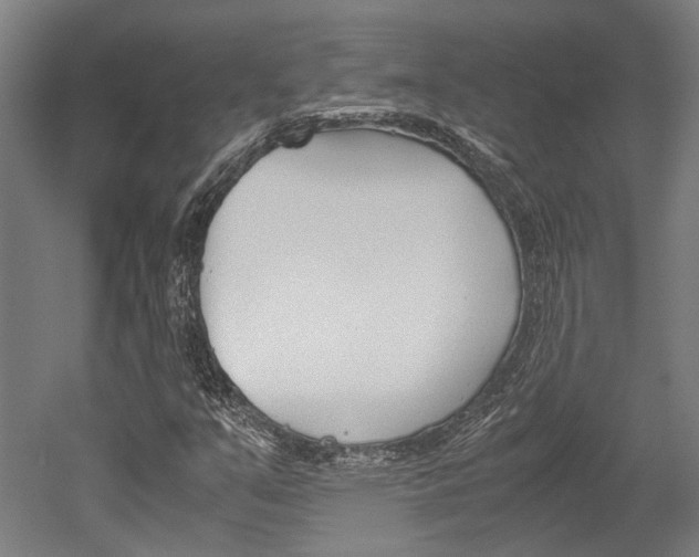 X0000052551351200507010834