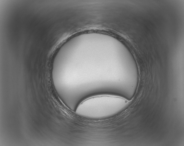 X0000052551359200507010834
