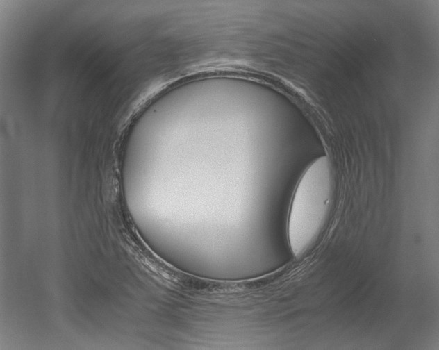X0000052551363200507010834