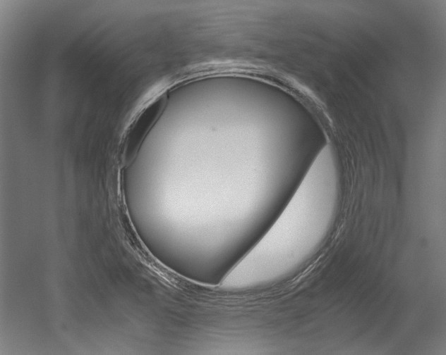 X0000052551365200507010834