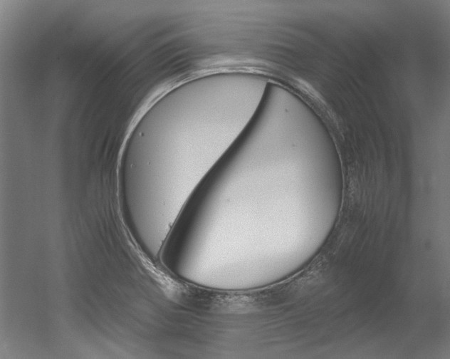 X0000052551370200507010834