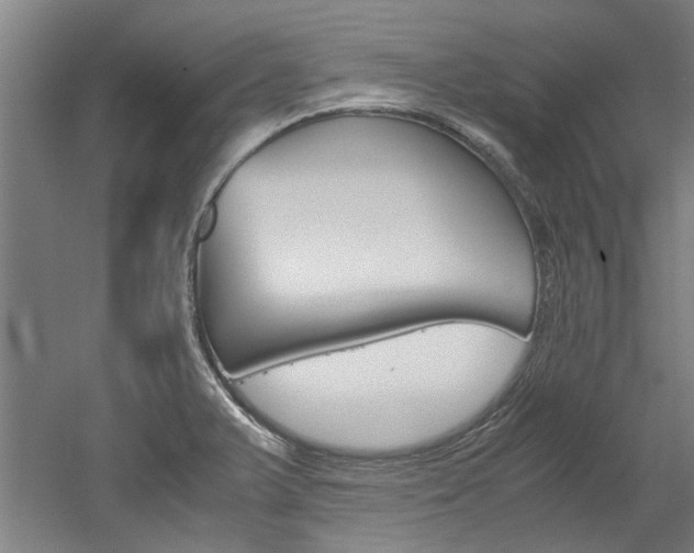 X0000052551375200507010834