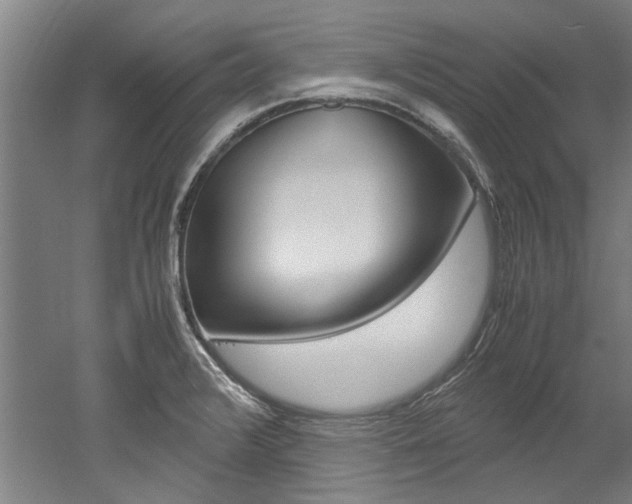 X0000052551376200507010834