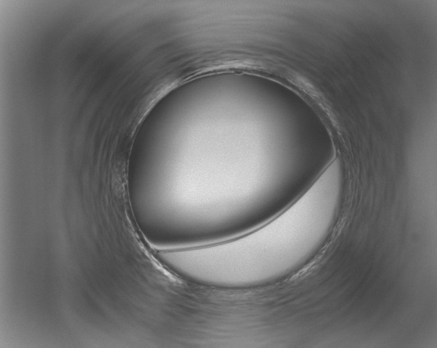 X0000052551377200507010834