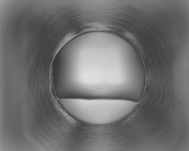 X0000052551378200507010834