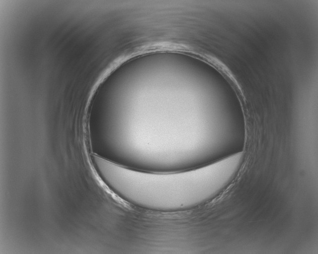 X0000052551381200507010834