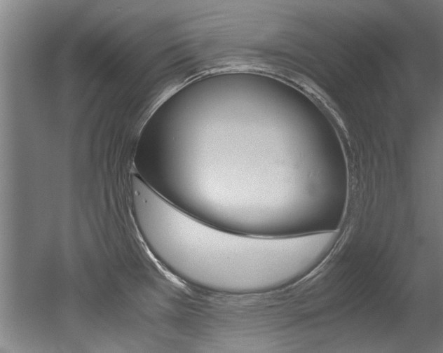 X0000052551385200507010834