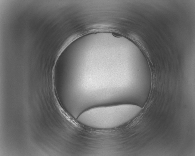 X0000052551386200507010834