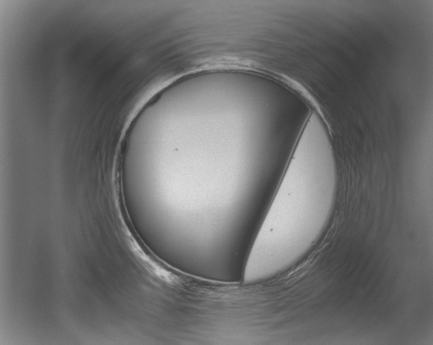 X0000052551387200507010833