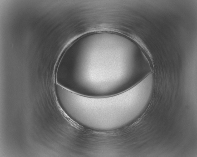 X0000052551388200507010833
