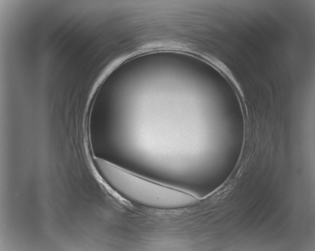 X0000052551389200507010833