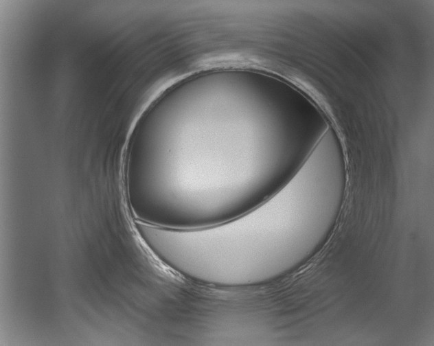 X0000052551392200507010833