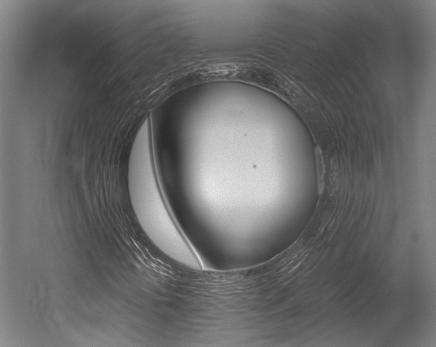 X0000052551394200507010833