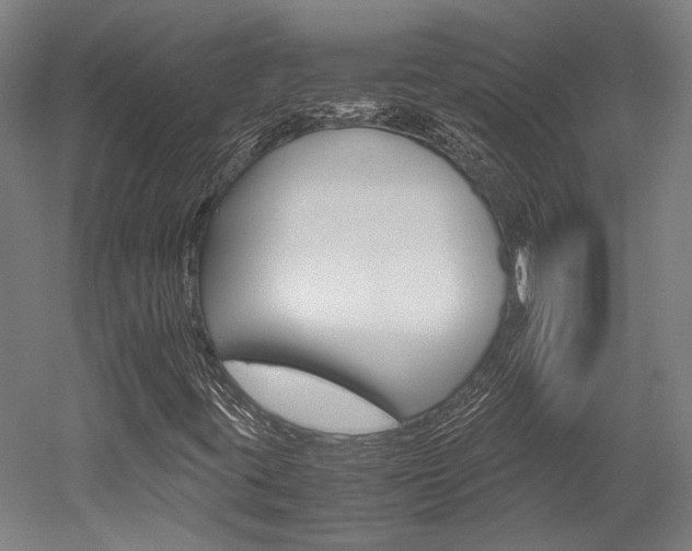 X0000052551395200507010833