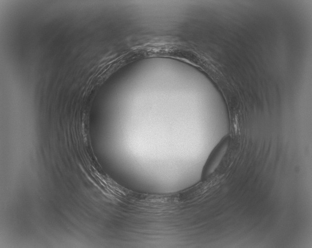 X0000052551396200507010833