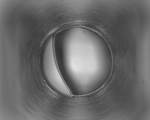 X0000052551402200507010833