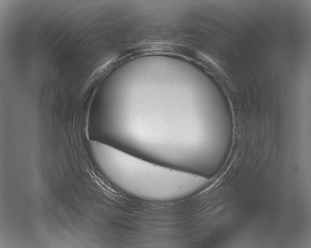 X0000052551403200507010833