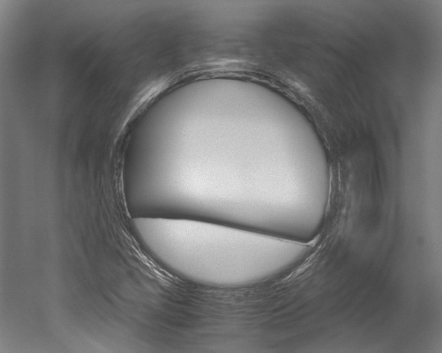 X0000052551405200507010833