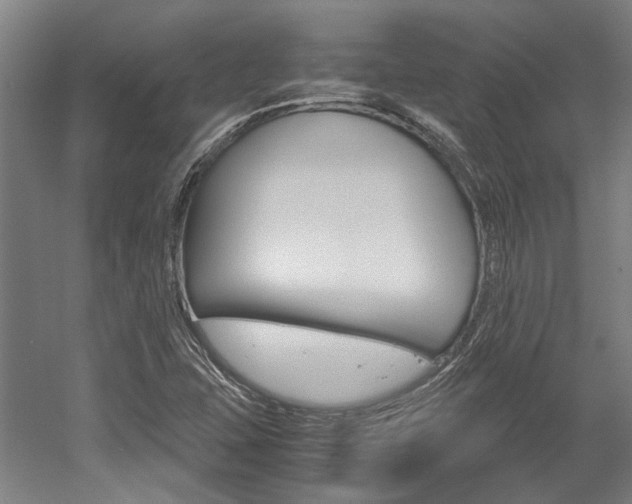 X0000052551407200507010833
