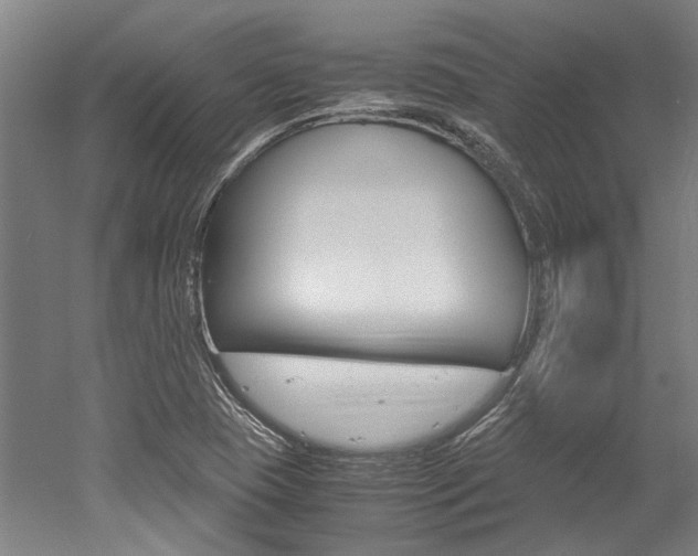 X0000052551409200507010833