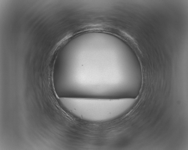 X0000052551411200507010833
