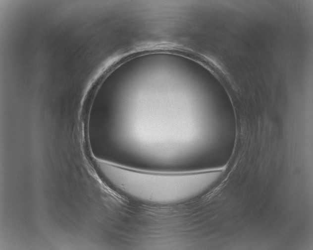 X0000052551414200507010833