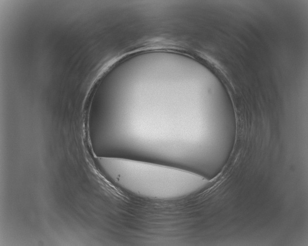 X0000052551415200507010833