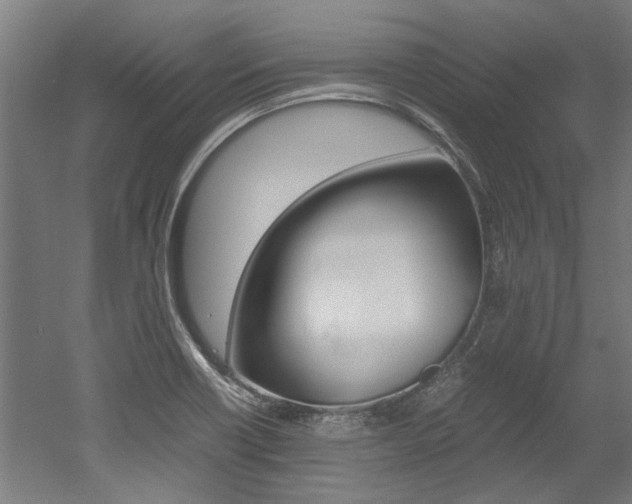 X0000052551418200507010833