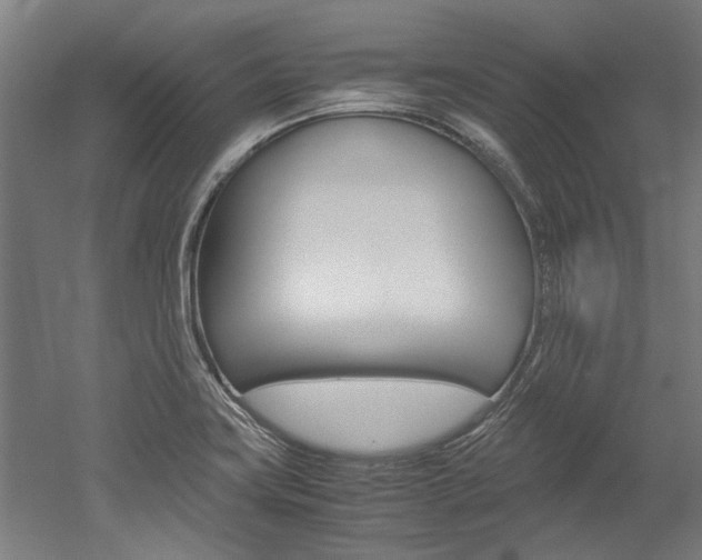 X0000052551419200507010833