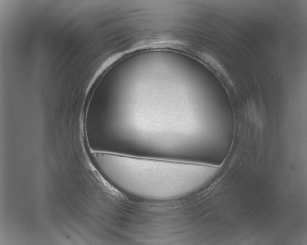 X0000052551420200507010833