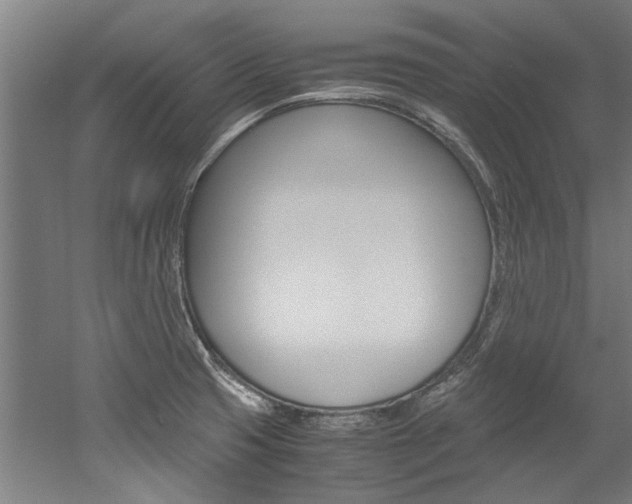 X0000052551425200507010833