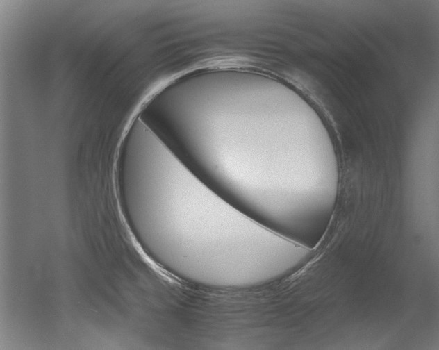 X0000052551429200507010833