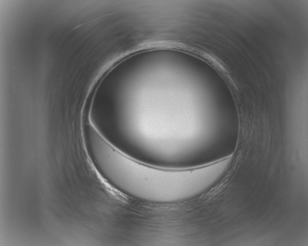 X0000052551430200507010833