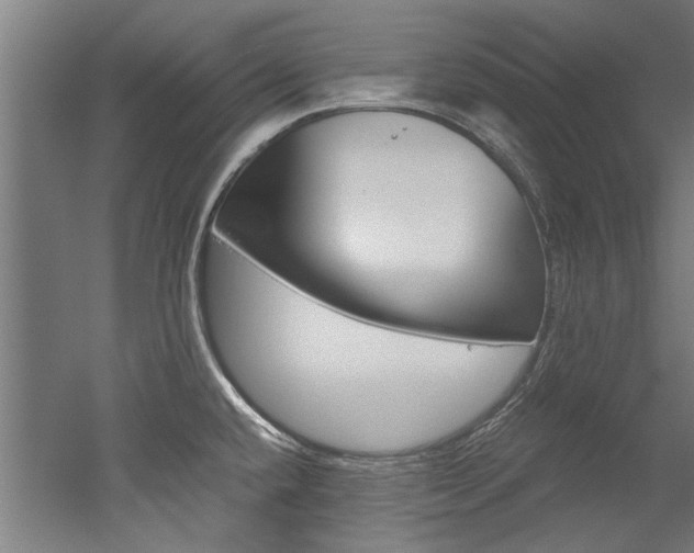 X0000052551432200507010833