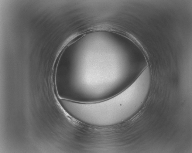 X0000052551434200507010833