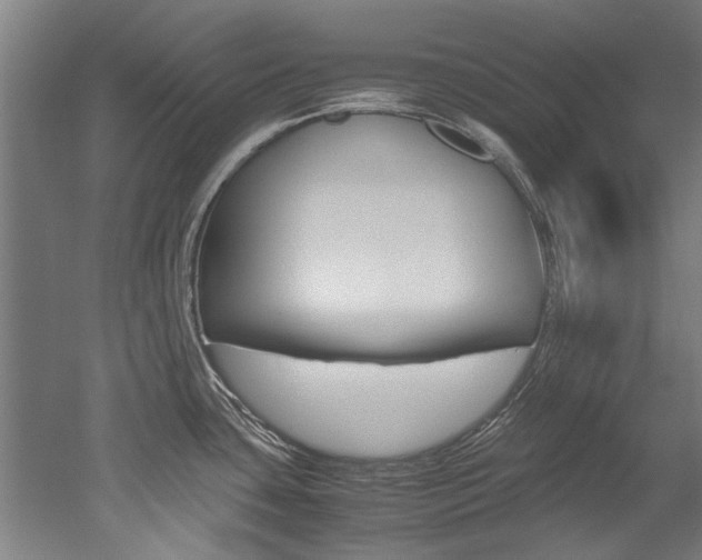 X0000052551435200507010833