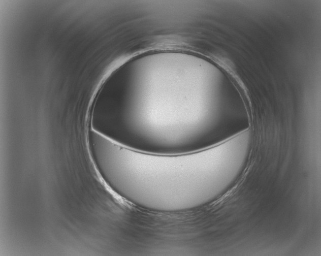 X0000052551437200507010833
