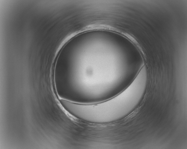 X0000052551438200507010833