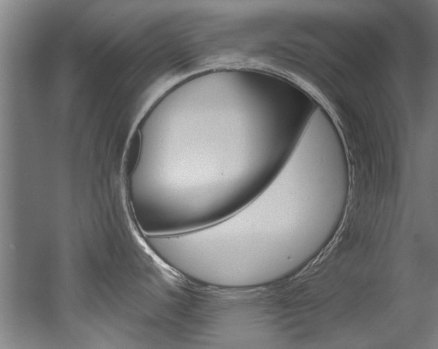 X0000052551440200507010833