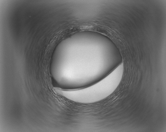 X0000052551441200507010833