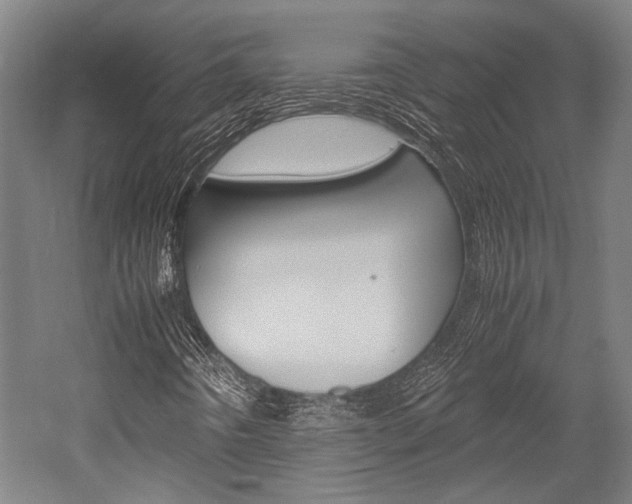 X0000052551442200507010833