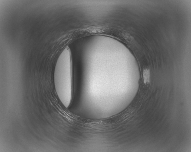 X0000052551444200507010833