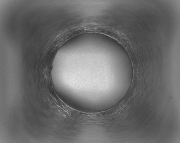 X0000052551445200507010833