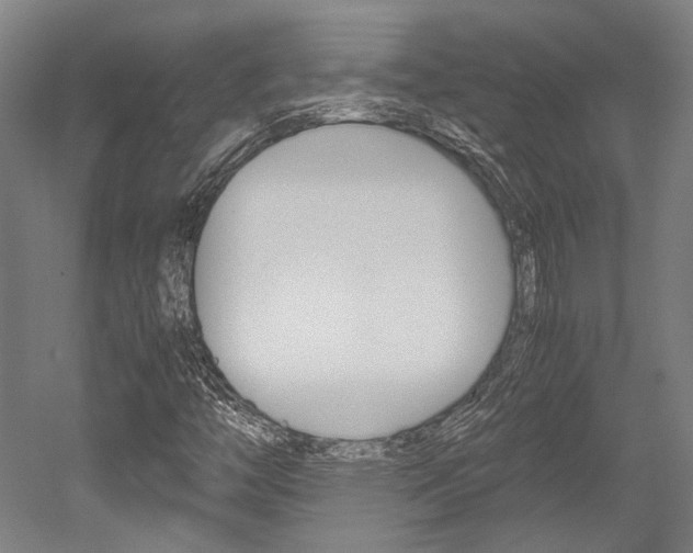 X0000052551446200507010832